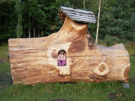 Mia in a log